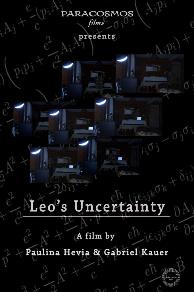 Poster-Leo's_Uncertainty